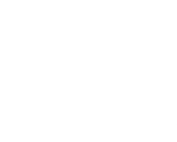 loco cosmoshop 2 blanco